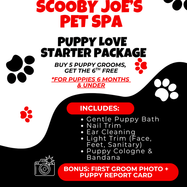 Puppy Love Starter Package at Scooby Joe's Pet Spa in Hawthrone, CA
